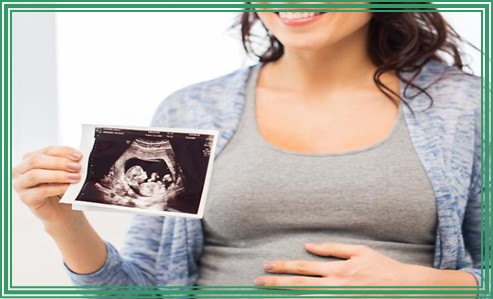 태아 초음파 사진 보는법 용어까지 알아봐요