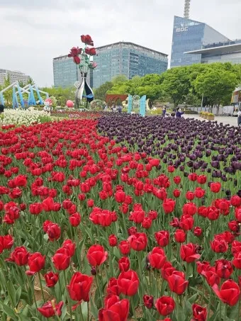 고양 꽃박람회 입장료 사전예약 가는길_16