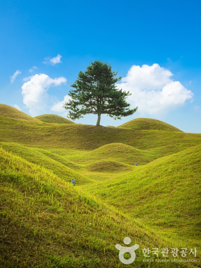 대구 불로동 고분군
주소: 대구광역시 동구 불로동 335