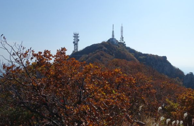 2025 계룡산 단풍 절정 시기 & 등산코스 추천 안내 ❘ 충남 가을 명소