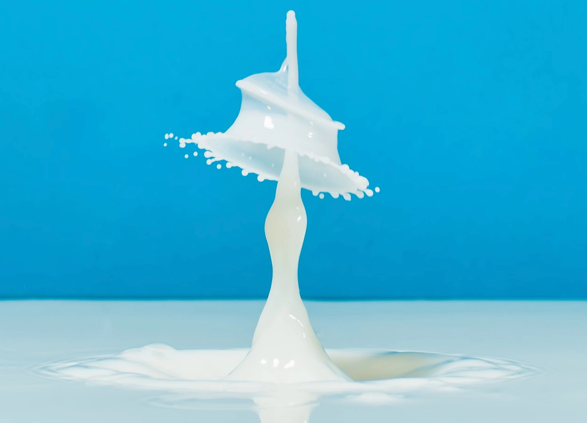 우유 효능 부작용