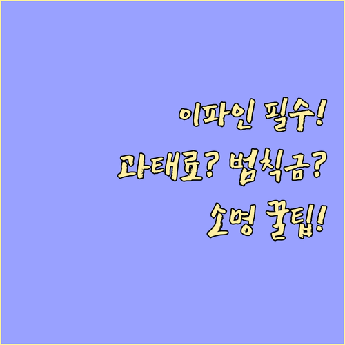 경찰청 교통민원24 이파인 과태료 범..