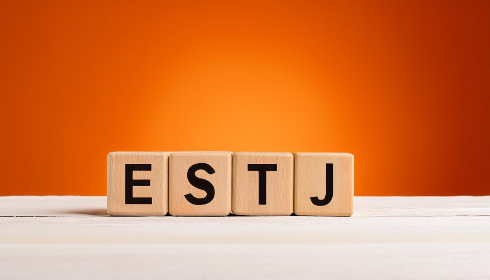 ESTJ 유형 특징