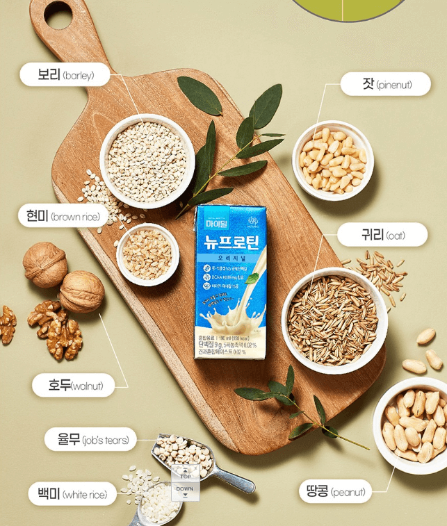 단백질 보충제 추천