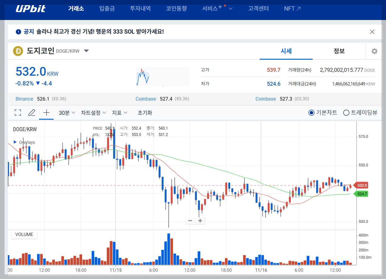 업비트 도지코인 시세 전망 최고가