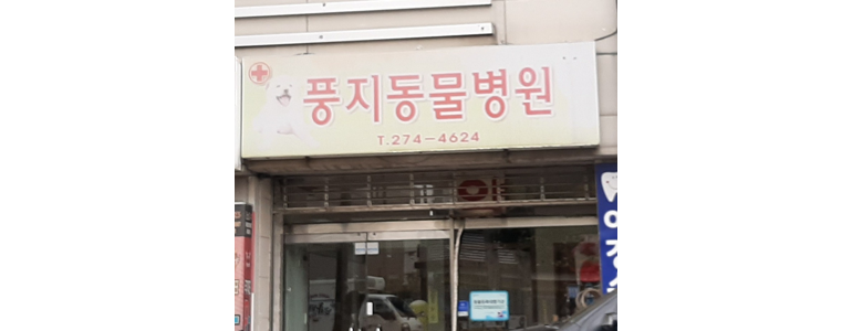 포항시 남구 근처 동물병원 추천 정보 | 24시간 잘하는곳 고양이 강아지 중성화 수술 애견 가격 비용 금액 후기 -
풍지동물병원
포항시 남구 동물병원