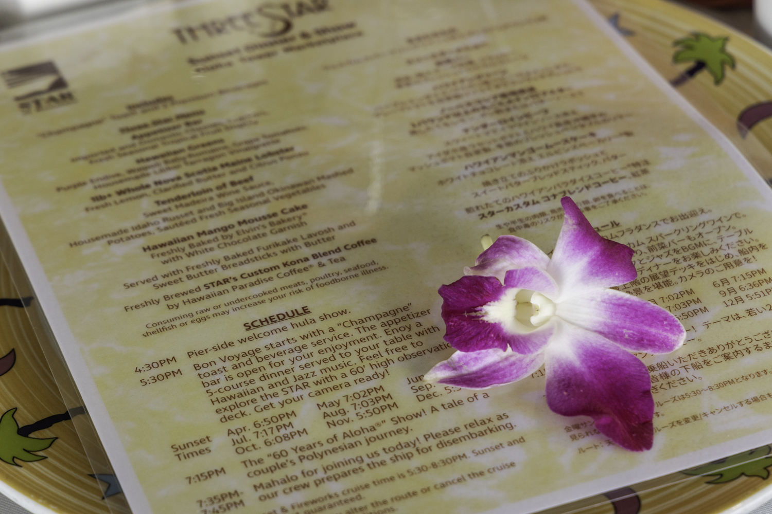 하와이 스타오브 호놀룰루 디너 크루즈