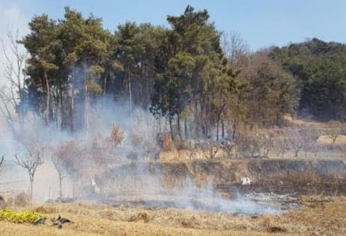 밭 태우기 이미지