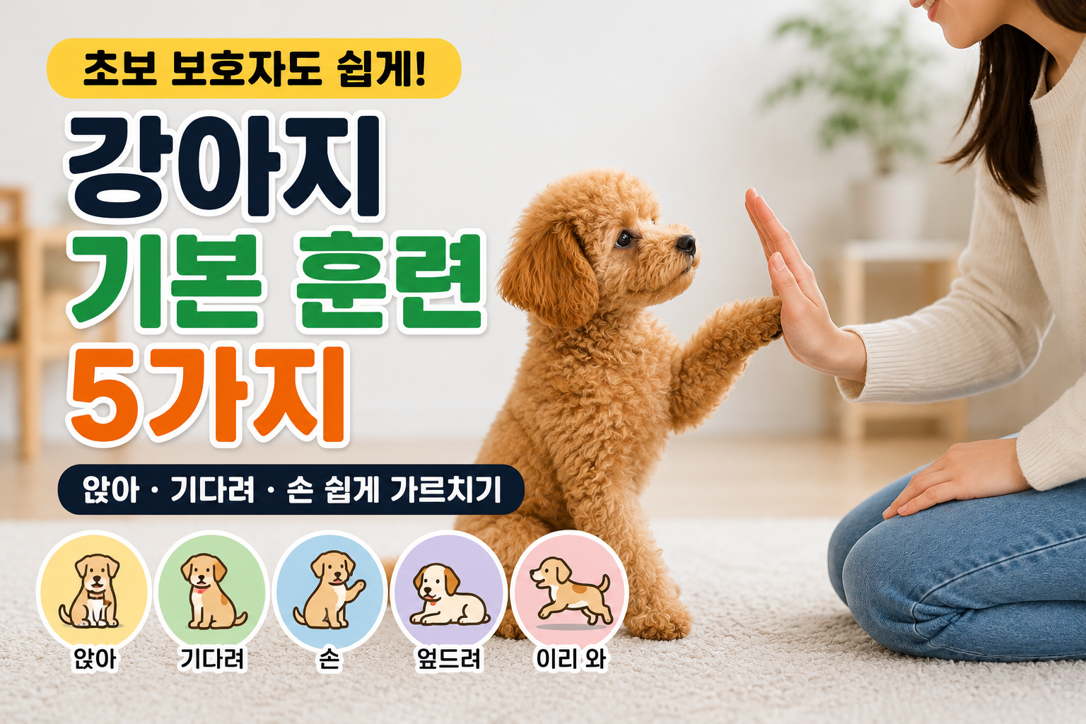 강아지 기본 훈련 5가지|앉아·기다려·손 쉽게 가르치는 방법