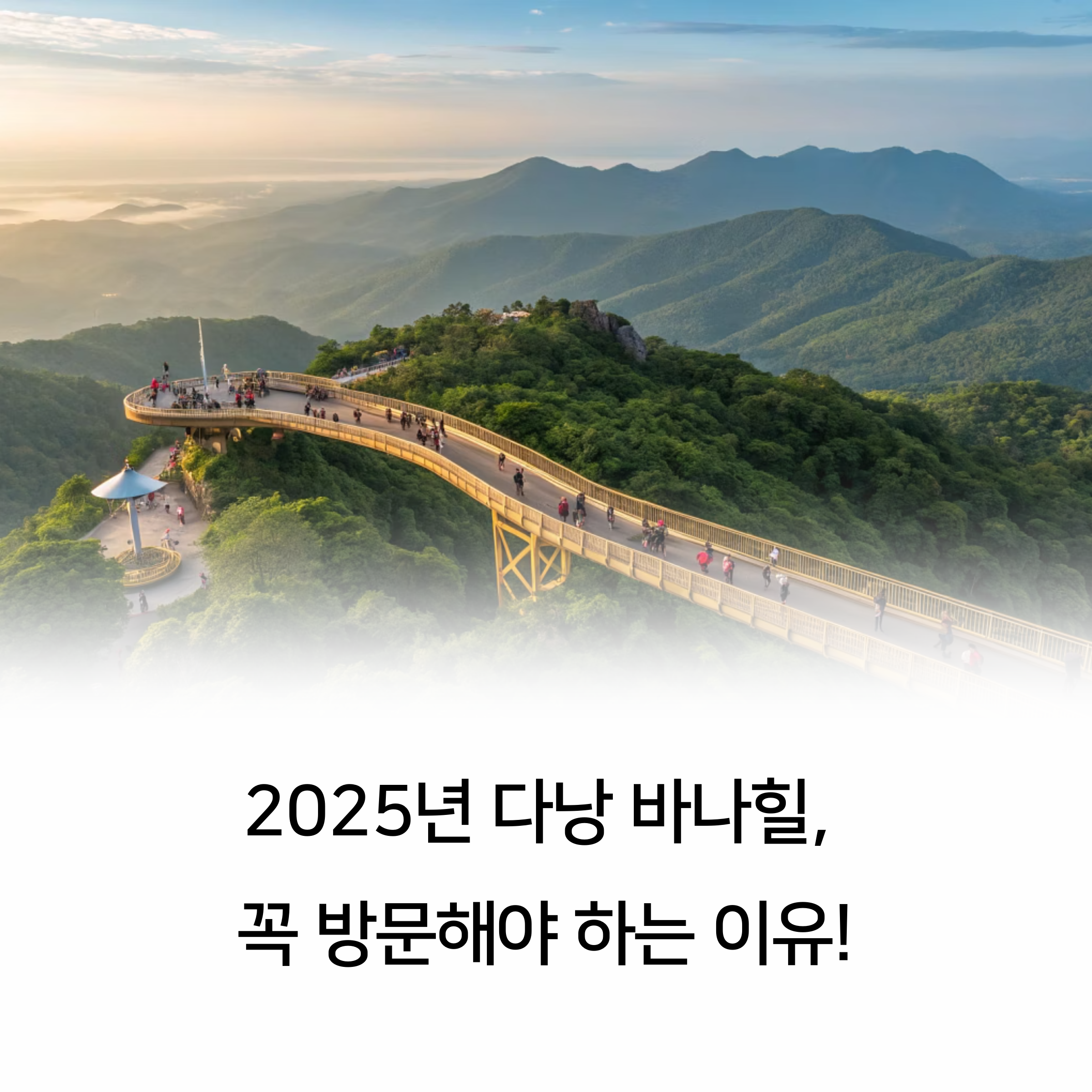 2025년 봄 여행자 후기 최신판