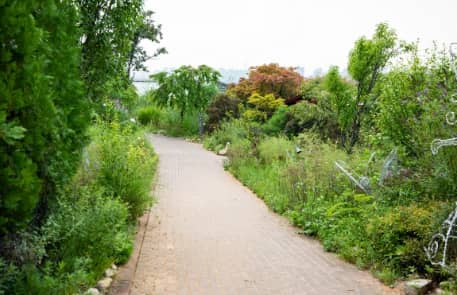 벚꽃축제 봄꽃축제