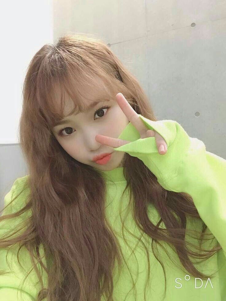 김채원 사진 모음