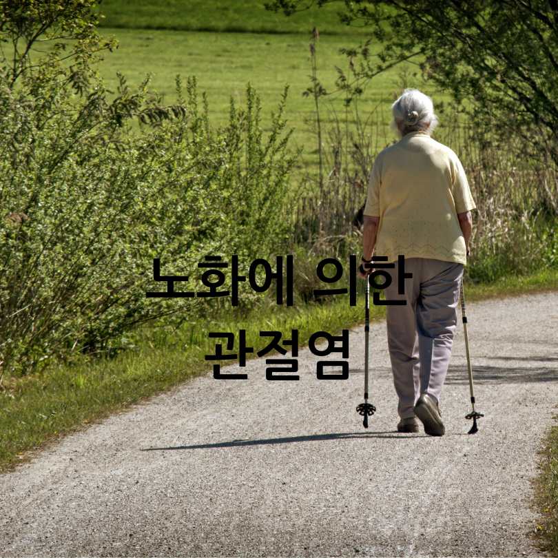 관절영양제