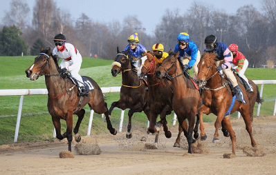2024 렛츠런파크 서울 가을축제 밤마실 페스티벌