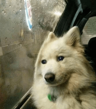 so_sad
