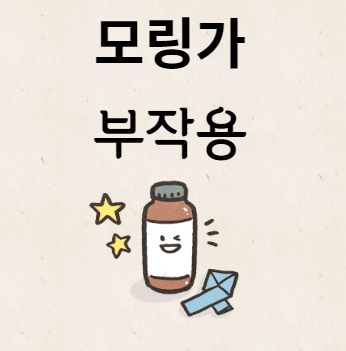 모링가 부작용