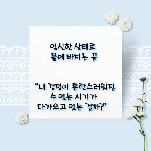 임신하는 꿈해몽