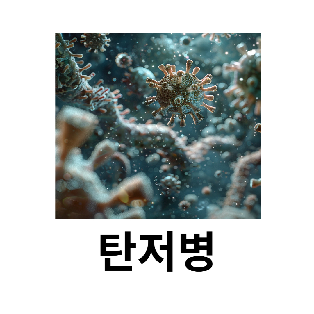 탄저병과 관련된 사진입니다.