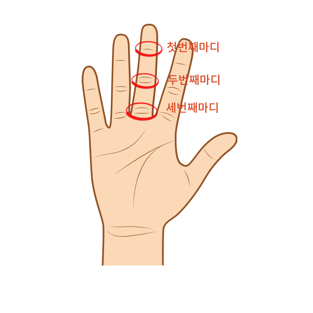 손가락마디-운세