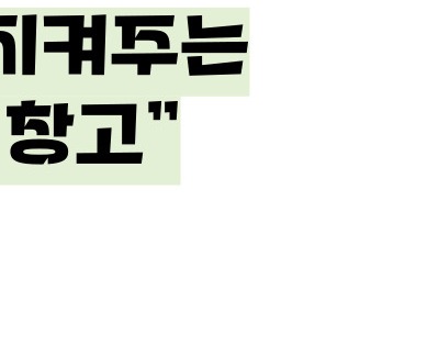 케일 효능