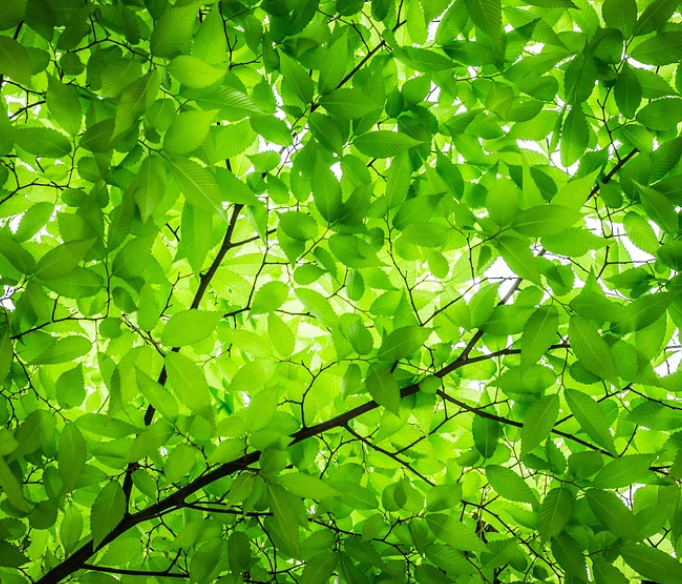 계방산 자연경관 사진