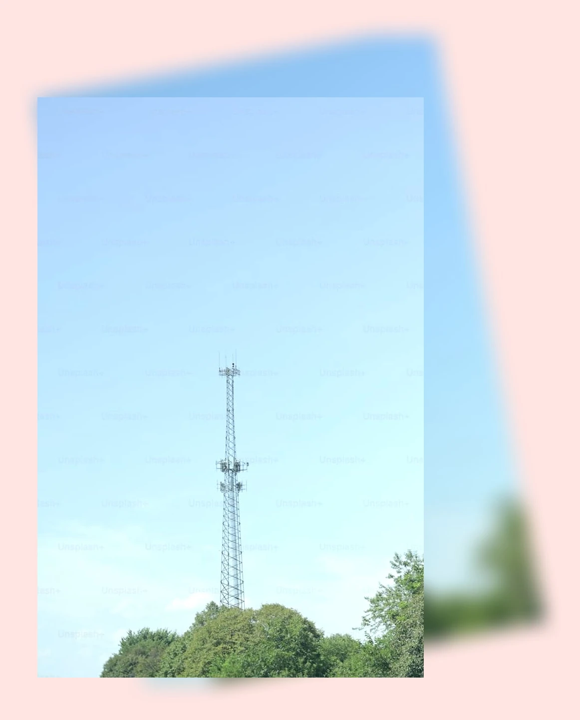 소형 캣타워_3_subsection