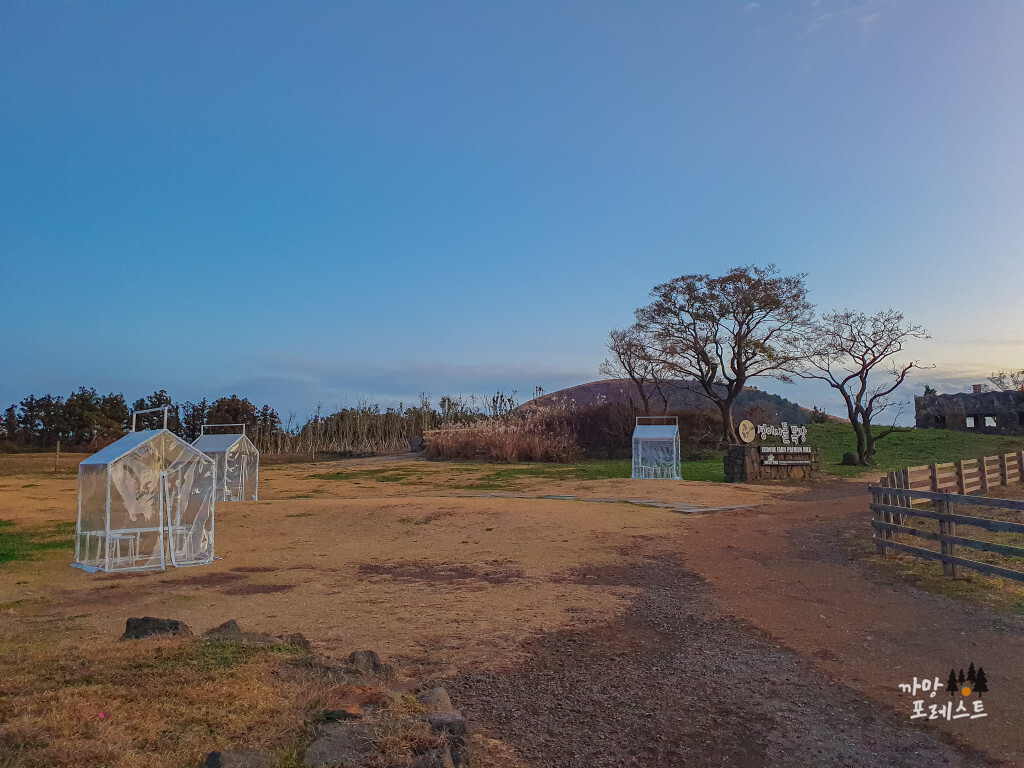제주 성이시돌 목장 여행