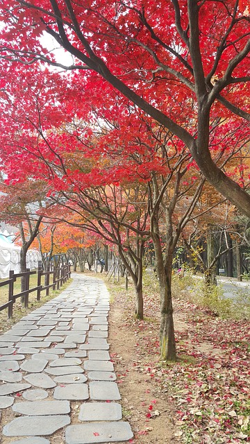 금오산