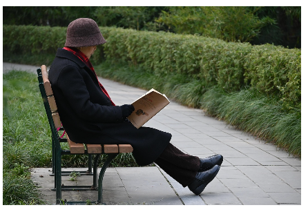 60세이상 노인혜택