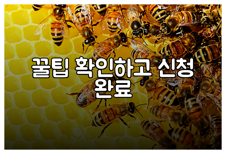 꿀팁 확인하고 신청 완료
