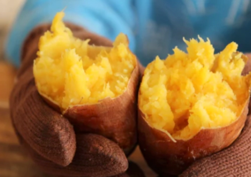 삶은 고구마 보관법