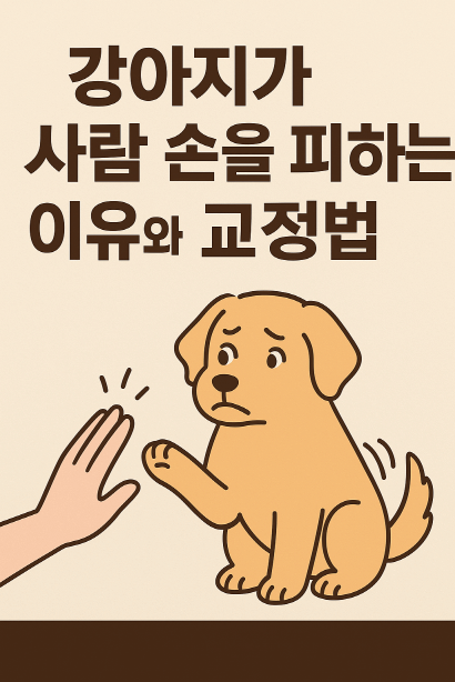 터치에 민감한 강아지, 손길 훈련으로 신뢰 회복하기