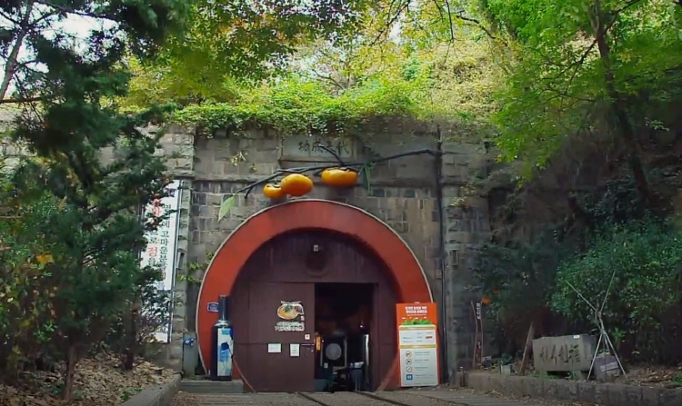 청도 와인터널