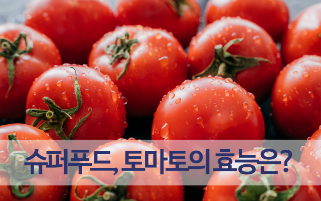 토마토의 효능