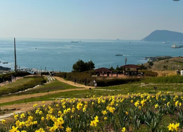 전국수선화명소