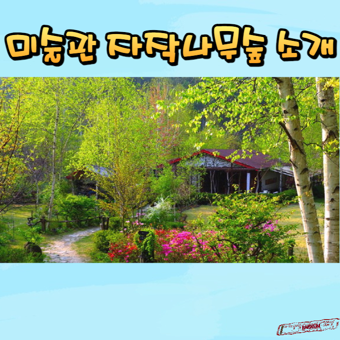 미술관-자작나무숲-소개-썸네일