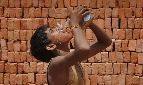 더위 먹었을때 증상 20가지