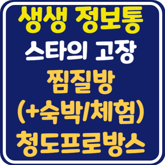생생 정보통 청도 찜질방(+ 숙박패키지, 체험마을), 청도 프로방스 위치 및 정보 : 믿고 떠나는 스타의 고장