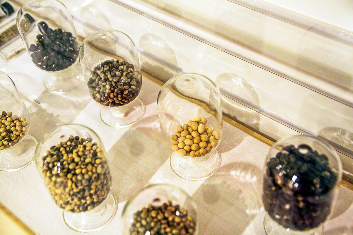 전시 된 싸앗들