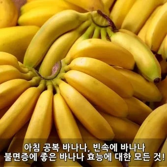 바나나 효능 식이섬유 포만감 운동 전후 효과_23
