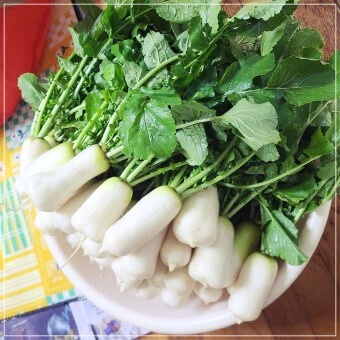 알타리 김치 담그는 법