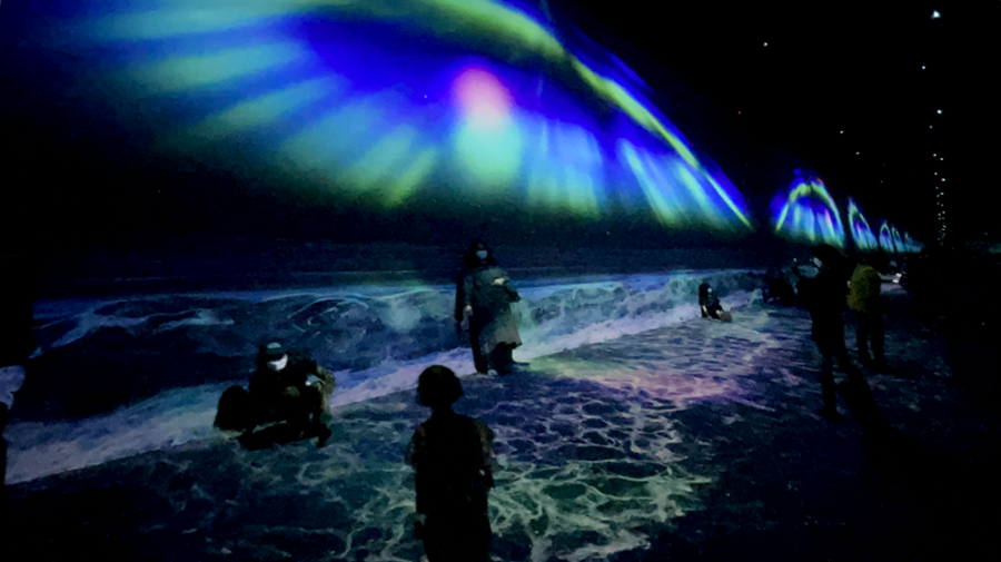 아르떼 뮤지엄 제주