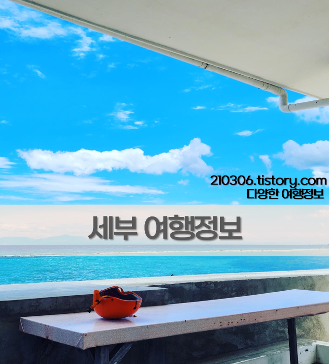 필리핀_동남아여행_필리핀여행_세부여행_세부시티_막탄_모알보알_일일투어_세부일일투어_여행팁_세부여행코스_세부여행정보_세부여행일정_세부여행팁