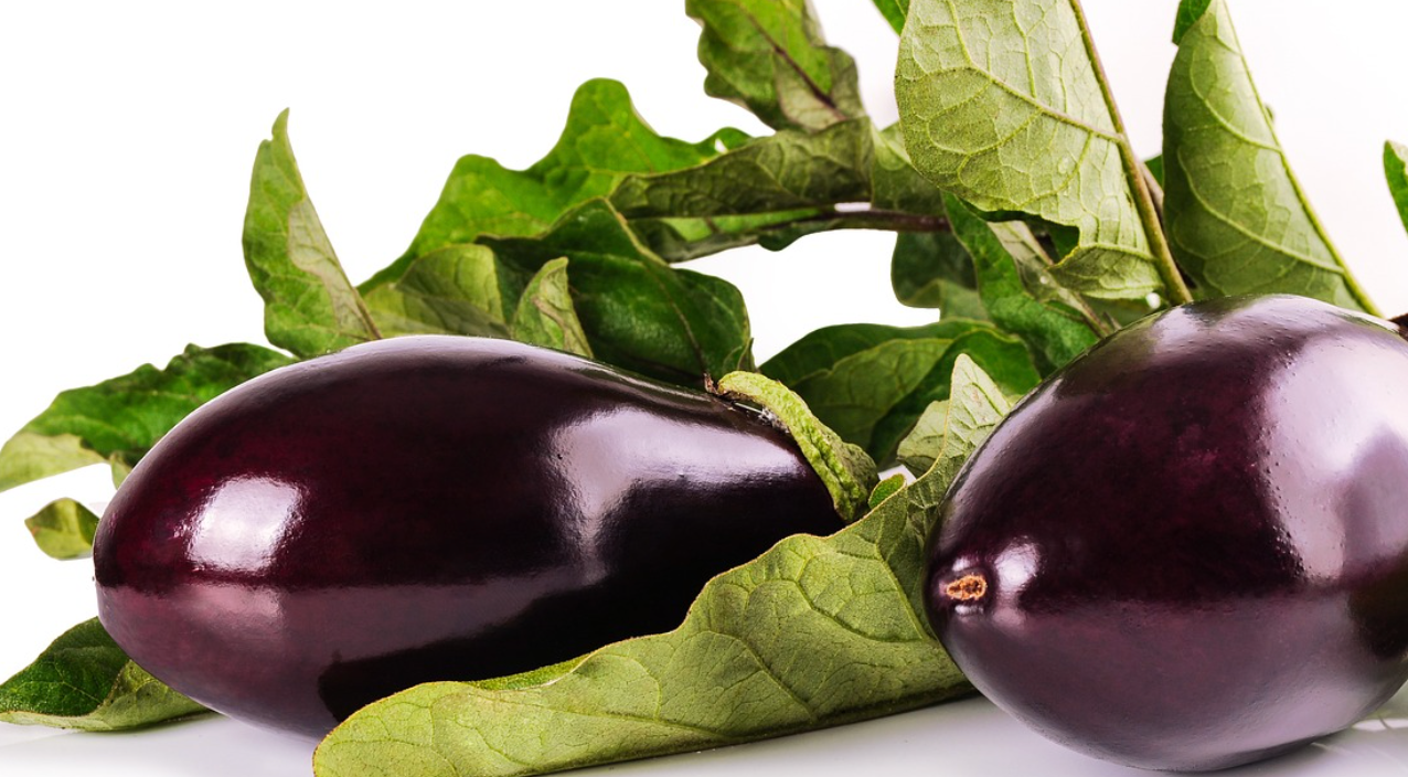 가지-제철-껍질-꽃받침-가시