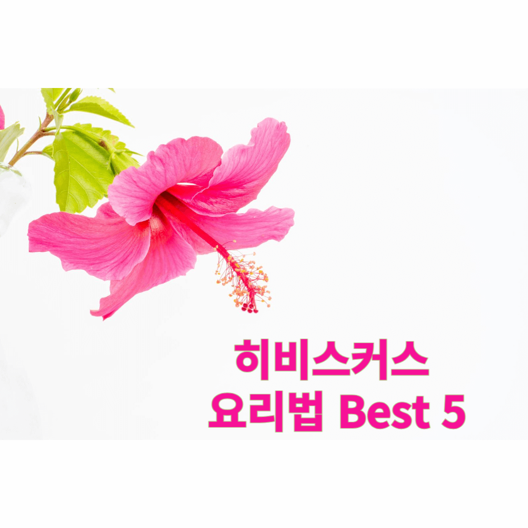 히비스커스 효능 활용법 요리법 Best 5