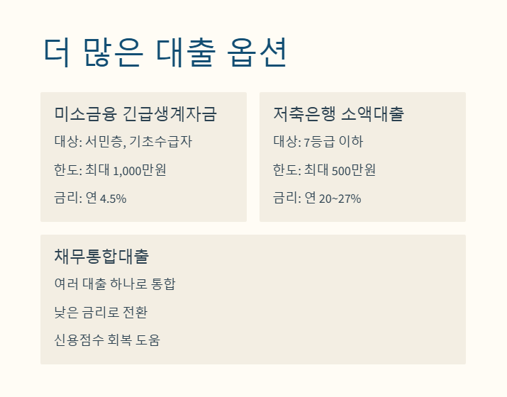 더 많은 대출 옵션 2