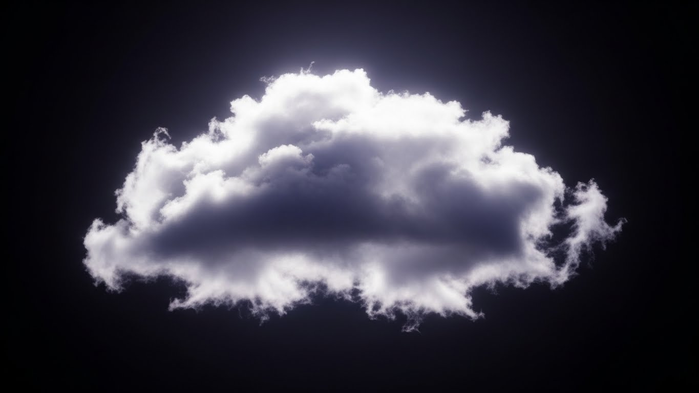 전립선정밀조직검사