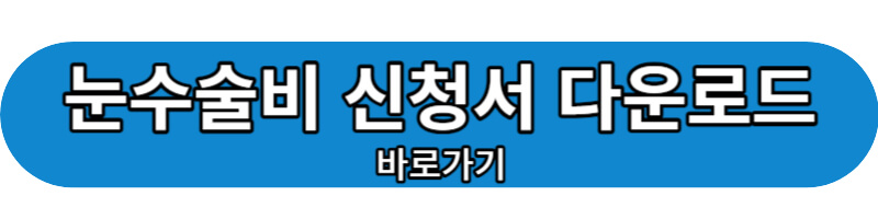 눈수술비 신청서 다운로드 바로가기