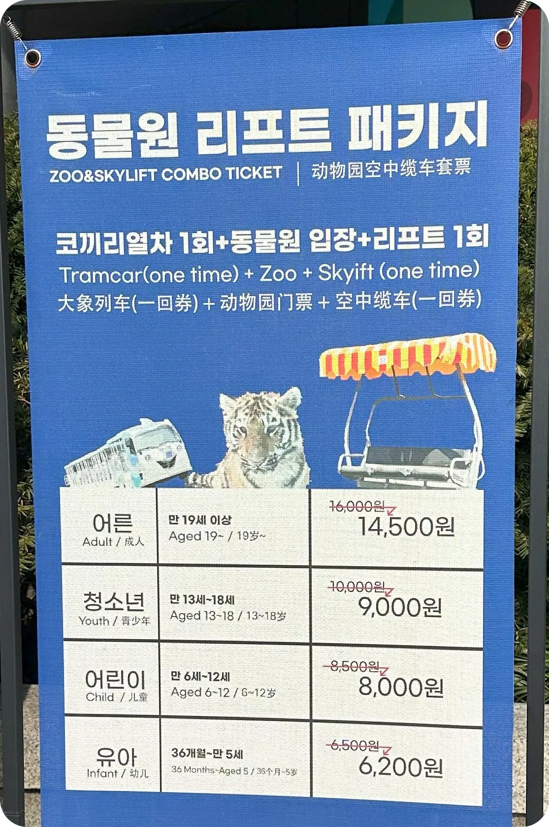 리프트 패키지
