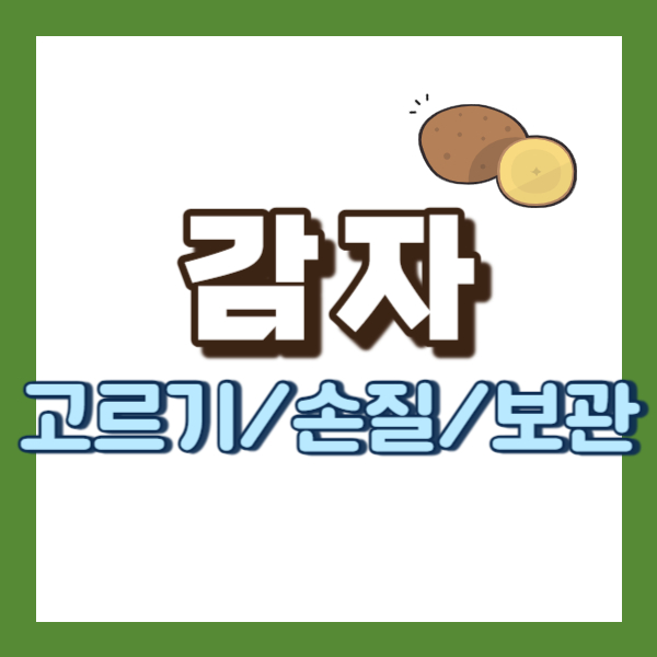 감자 관리 방법 - 썸네일